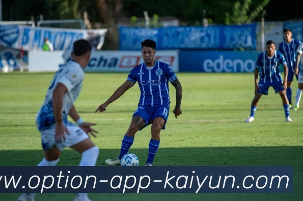 开云平台生态图